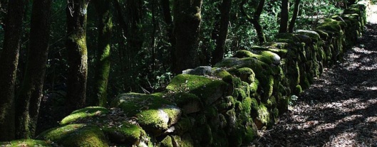 Sentier Mare e Monti à Bisinao ©Jacques Bartoli Sentier Mare e Monti à Bisinao ©Jacques Bartoli